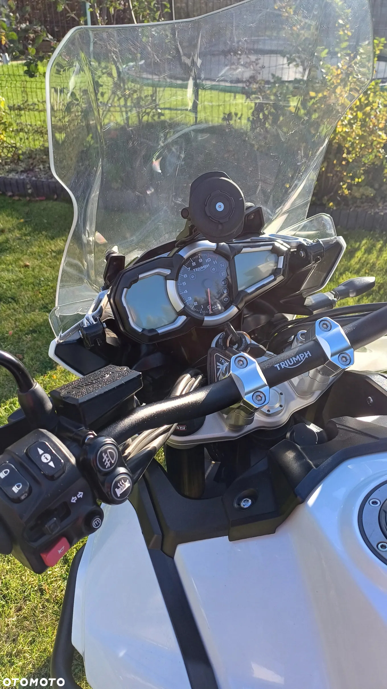 Triumph Tiger - 7