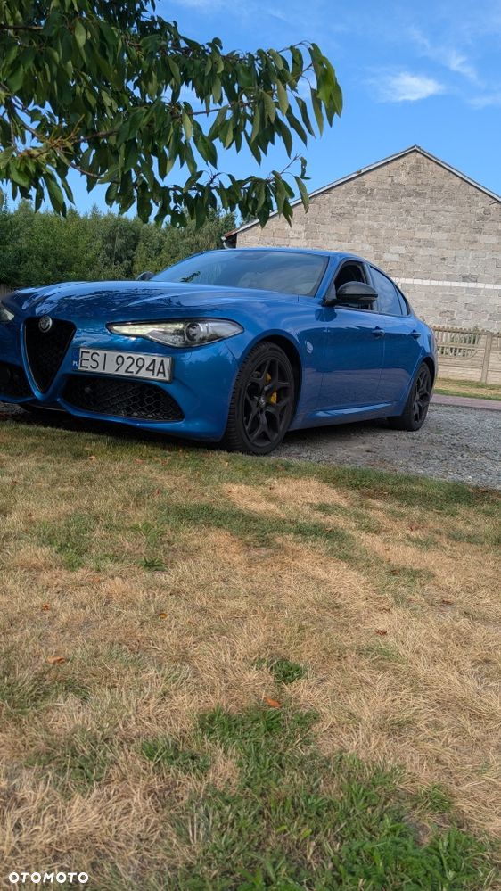Alfa Romeo Giulia - 1