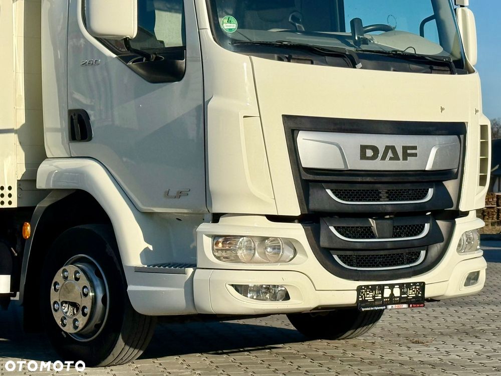 DAF LF 260 / FIRANKA / WINDA / 18 EUROPALET / AUTOMAT / EURO 6 / Z NIEMIEC / 6 320 KG ŁADOWNOŚCI / 2019 ROK - 9