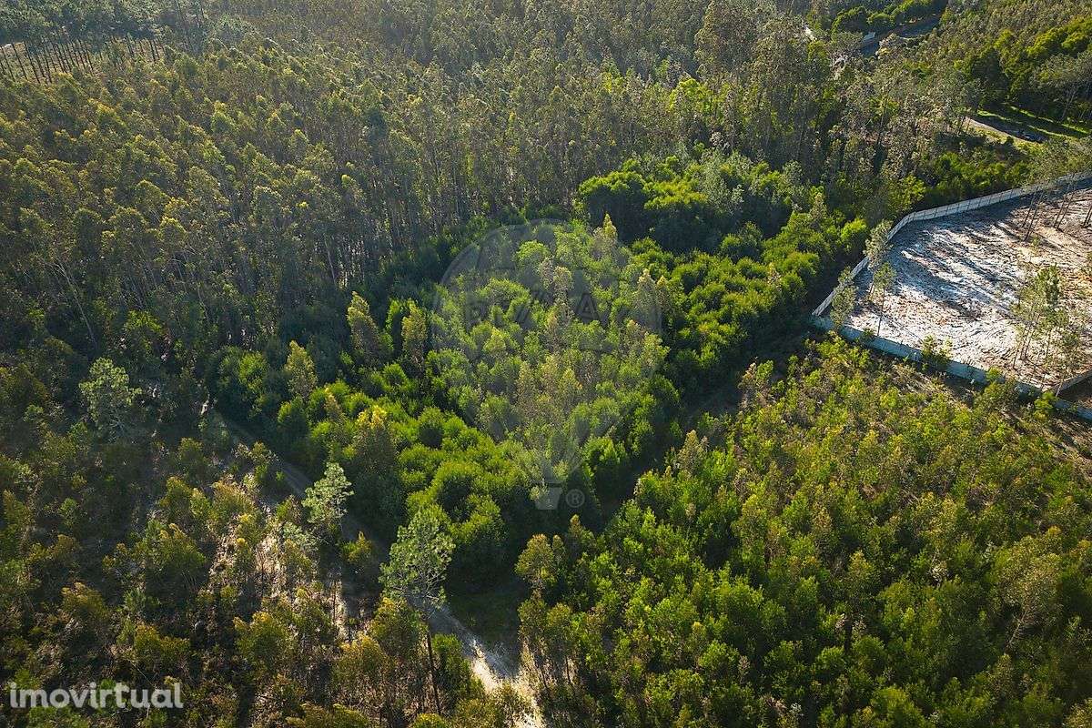 Terreno  para venda - Grande imagem: 4/19