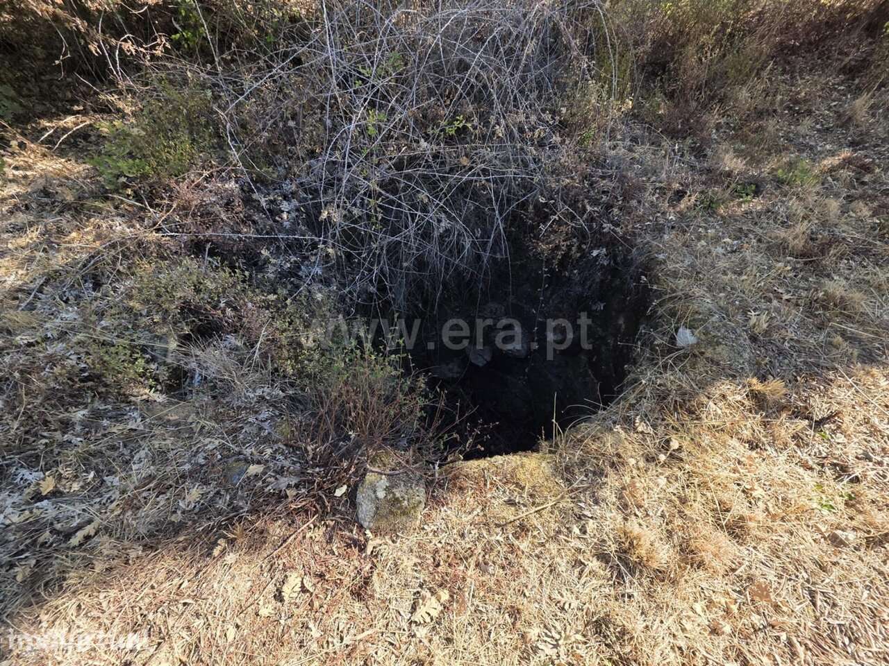 Terreno / Fundão, Alpedrinha - Grande imagem: 3/9