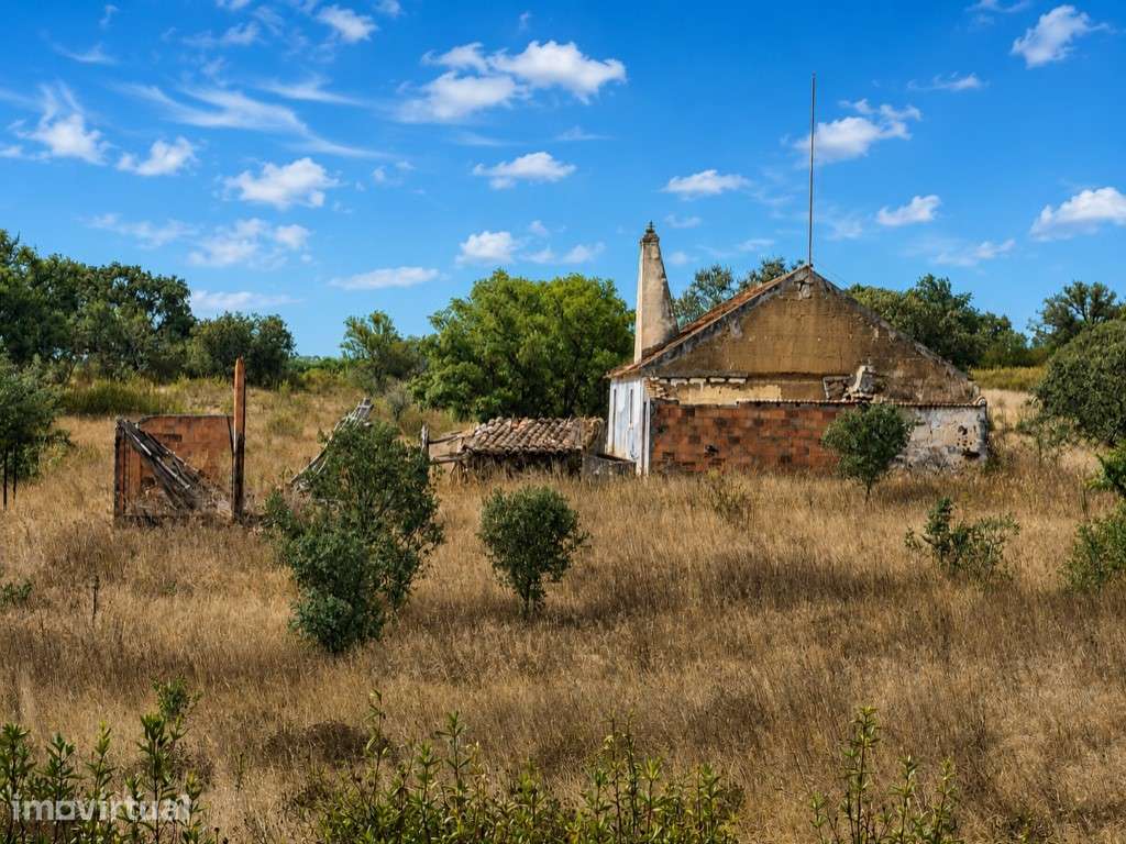 Quinta de 8 Hectares com Casa em Grândola - Grande imagem: 3/8