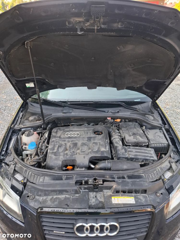 Audi A3 Sportback 2.0 TDI DPF Quattro Ambiente - 7
