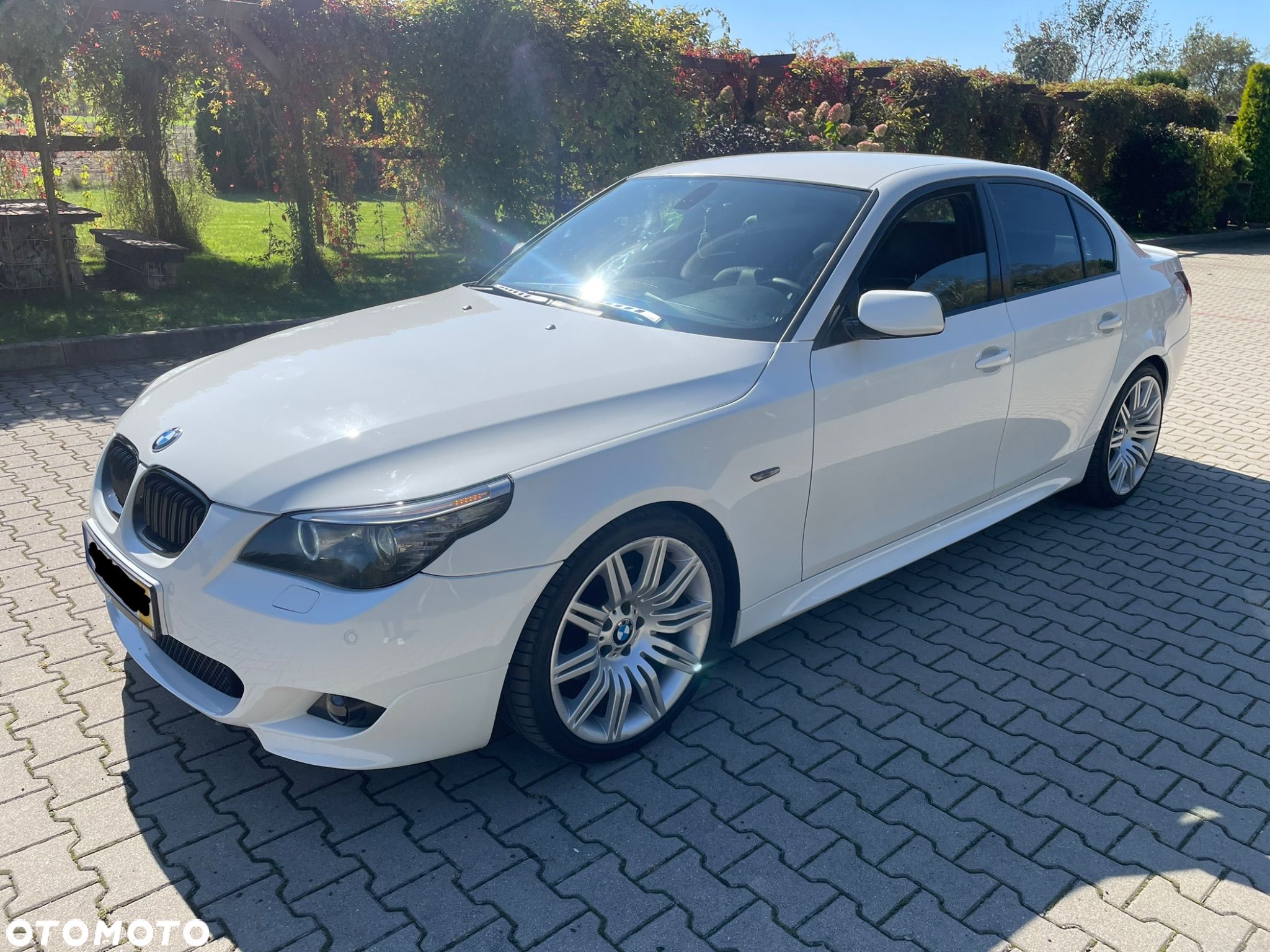 BMW Seria 5 - 1