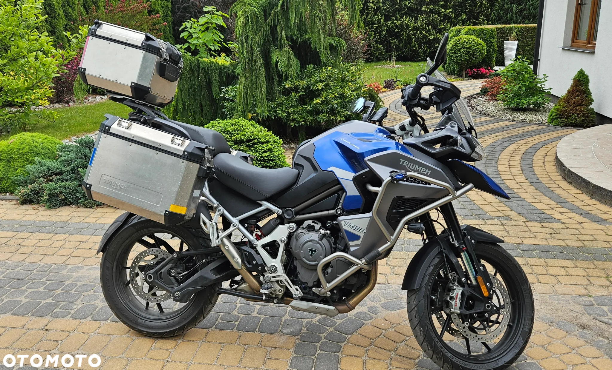 Triumph Tiger