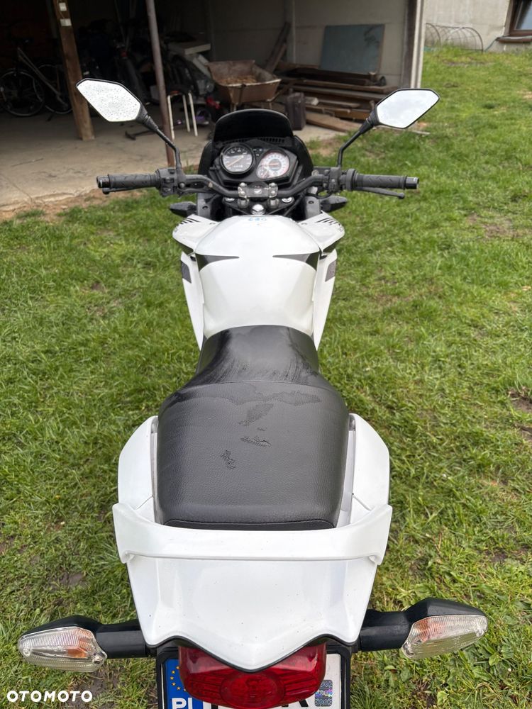 Honda CBF - 5