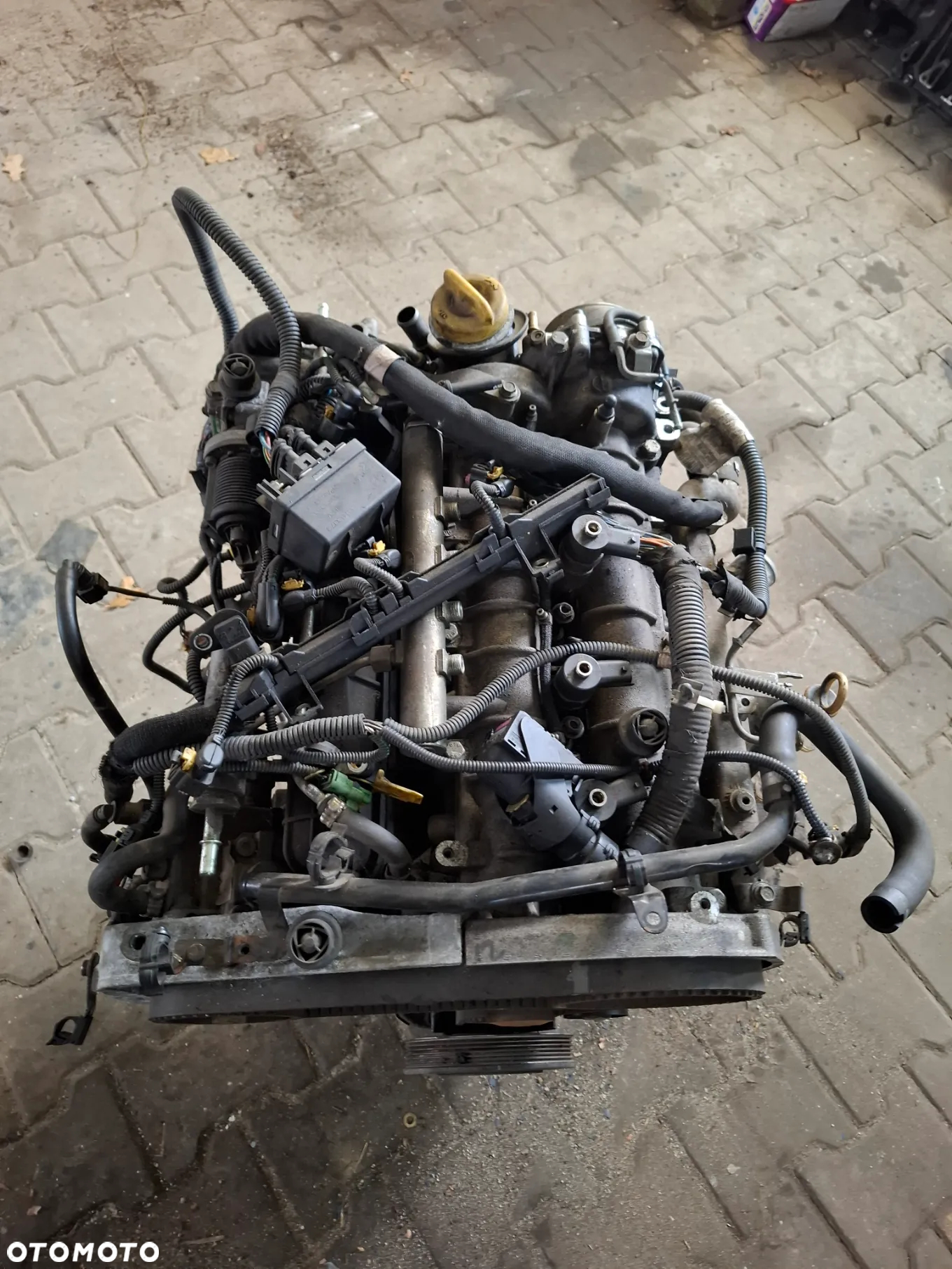 SILNIK NA CZESCI 1.9CDTI 16V OPEL ASTRA H ZAFIRA B VECTRA C ALFA 159 SLASK WYSYLKA - 9