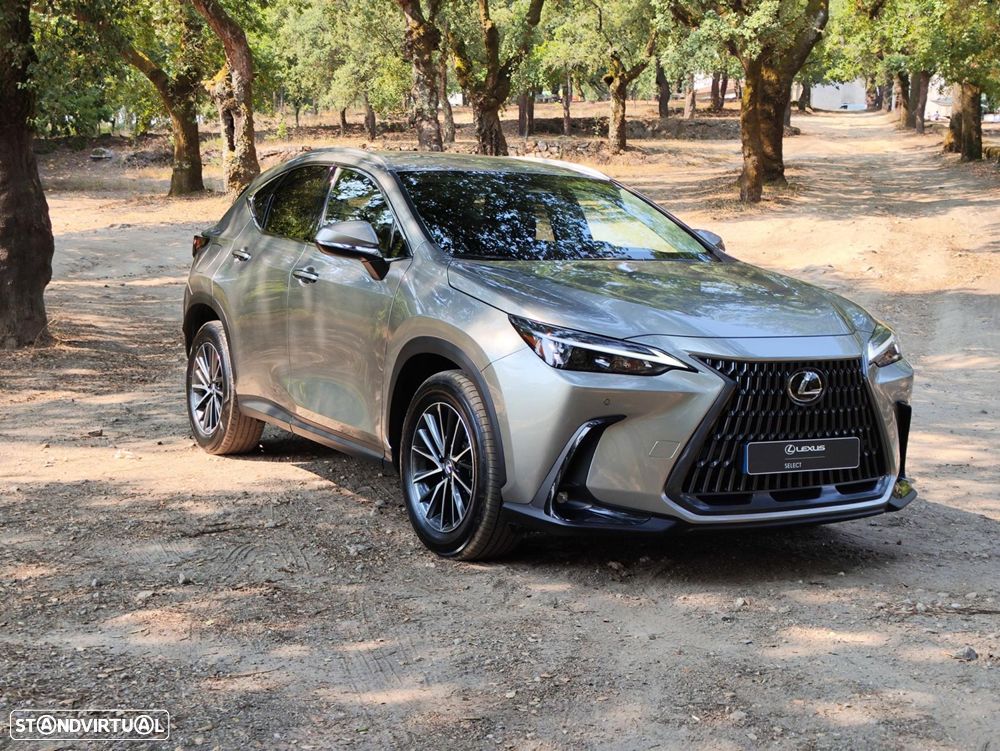 Lexus NX 450h+ Executive - 4