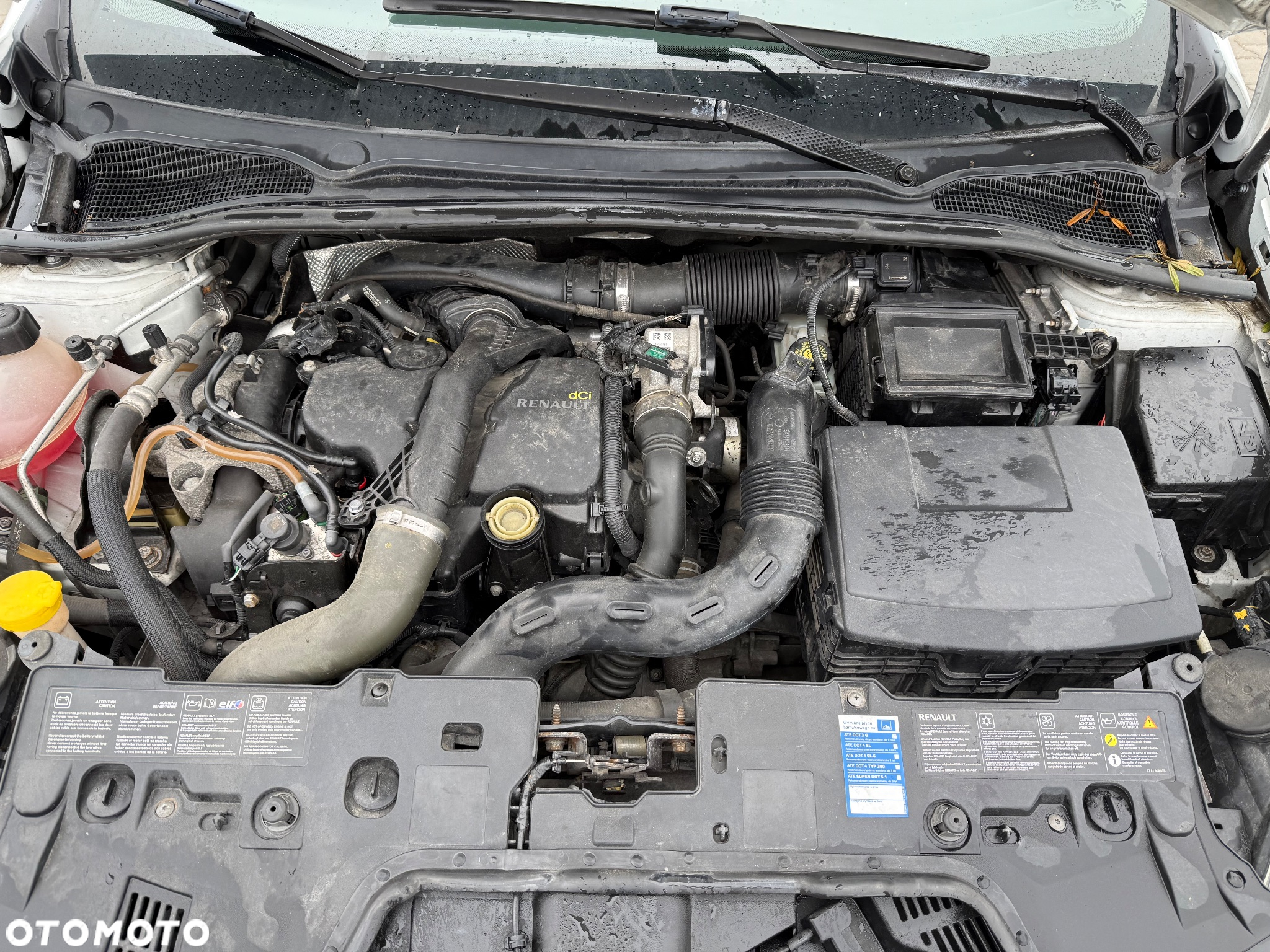 Renault Clio 1.5 dCi Intens+ - 23