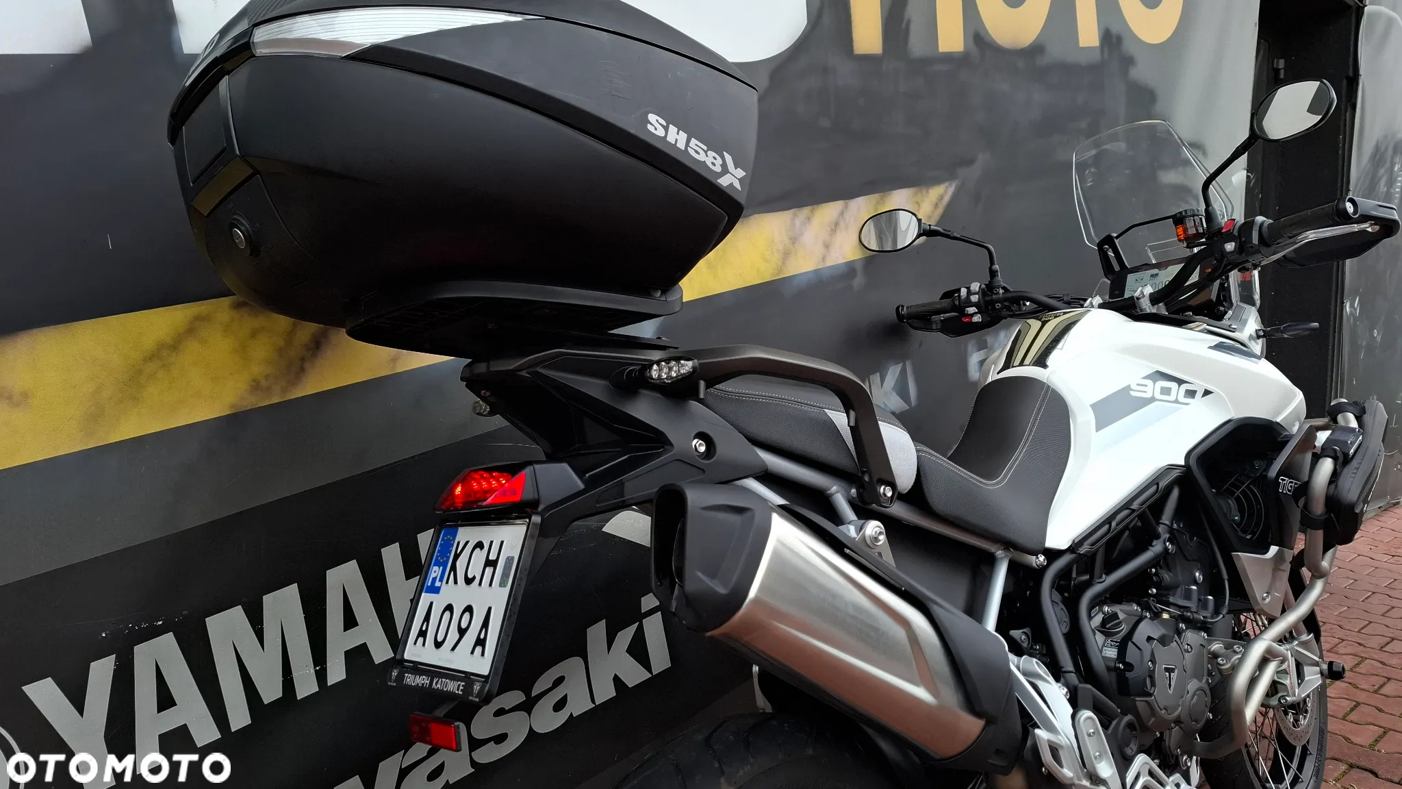 Triumph Tiger - 8