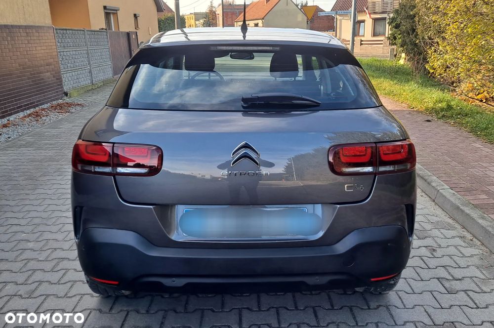 Citroën C4 Cactus - 10
