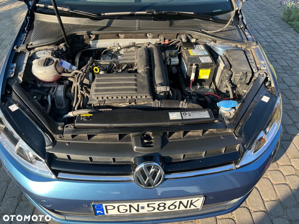 Volkswagen Golf - 31