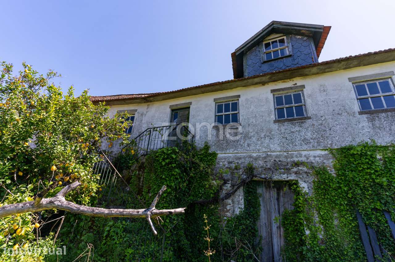 Casa agrícola - Sanhoane, Santa Marta de Penaguião - Grande imagem: 4/50
