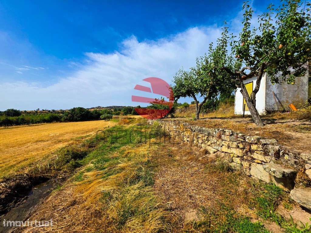 QUINTA AGRICOLA - Grande imagem: 3/14