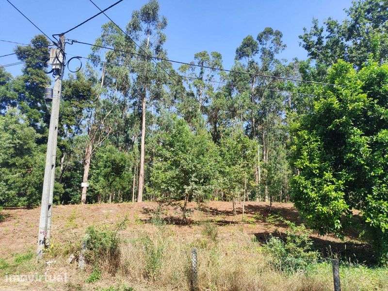 Vende-se terreno em Sabadim (Arcos de Valdevez - Viana do Castelo) - Grande imagem: 2/7