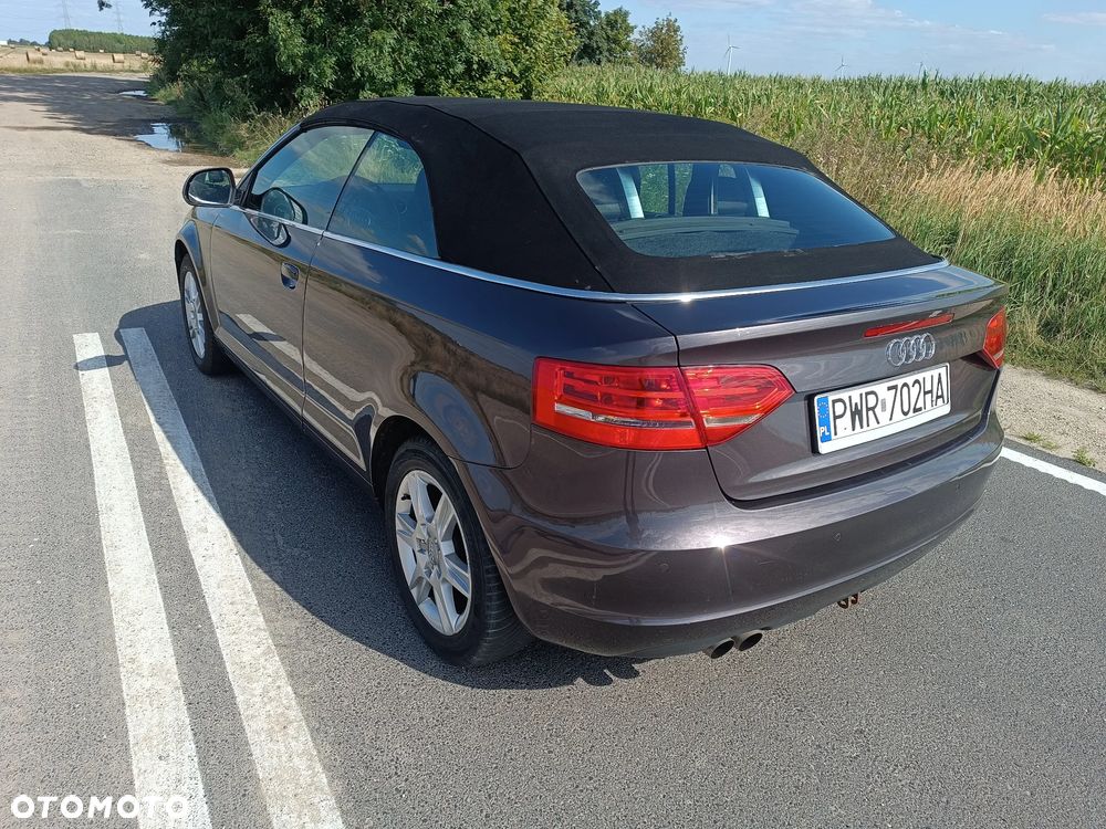 Audi A3 Cabrio 1.9 TDI DPF Ambition - 6