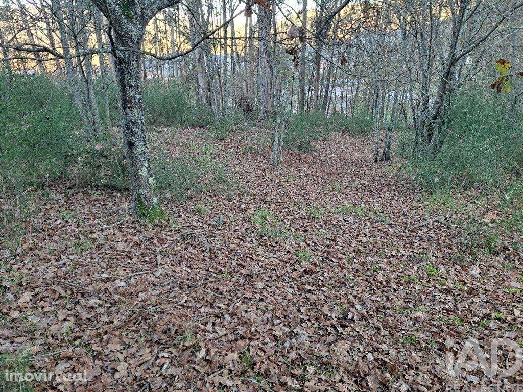 Terreno em Sande, Vilarinho, Barros e Gomide de 6101,00 m2 - Grande imagem: 4/9