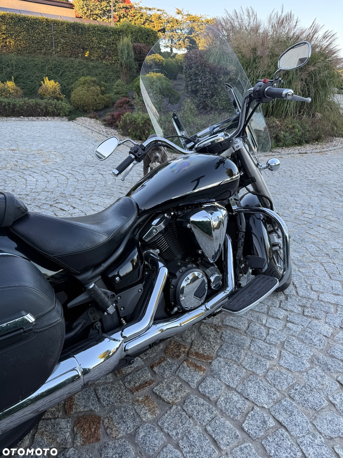 Suzuki Boulevard - 12