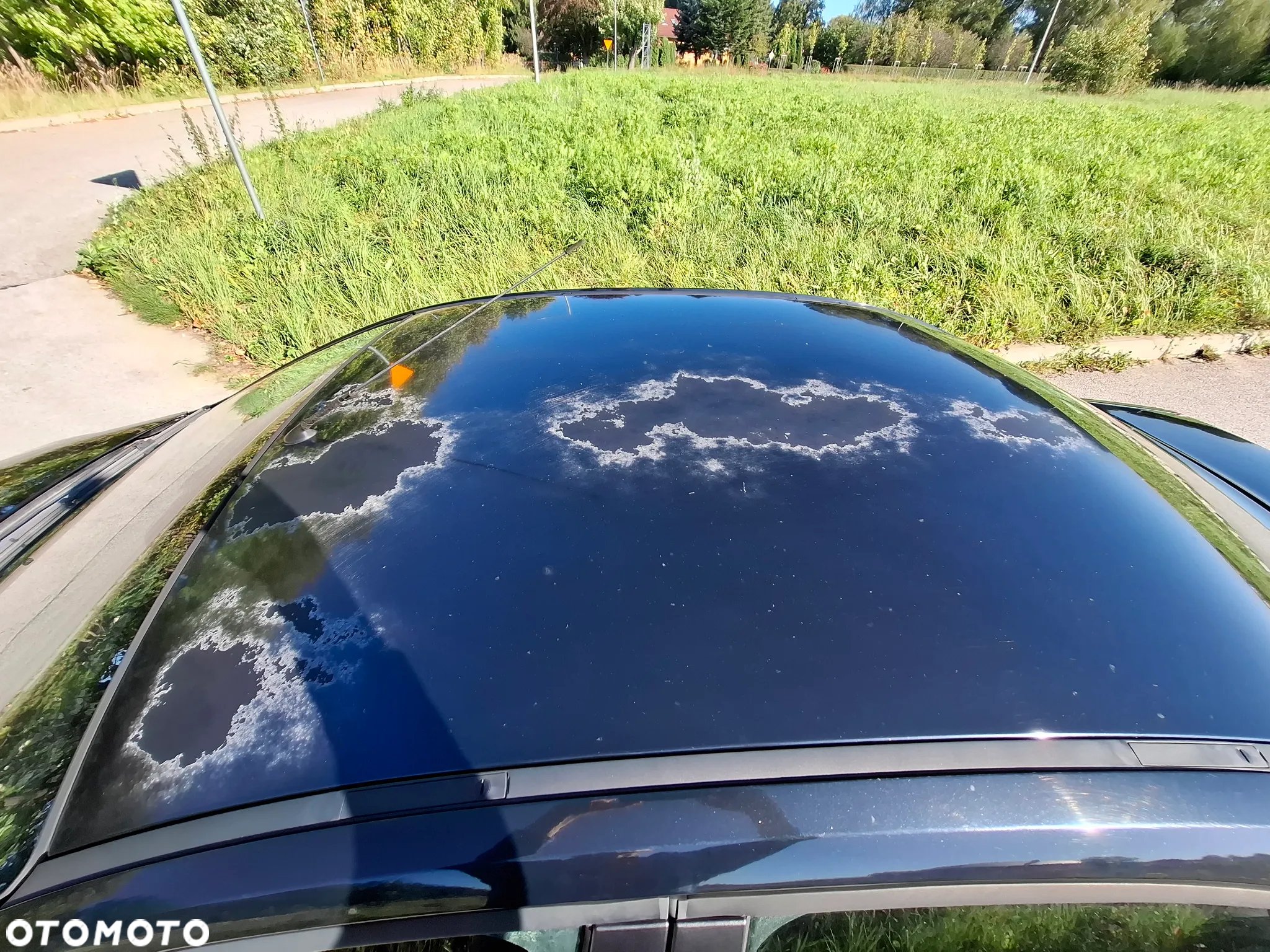 Ford Focus 1.6 Ti-VCT Platinium X - 10