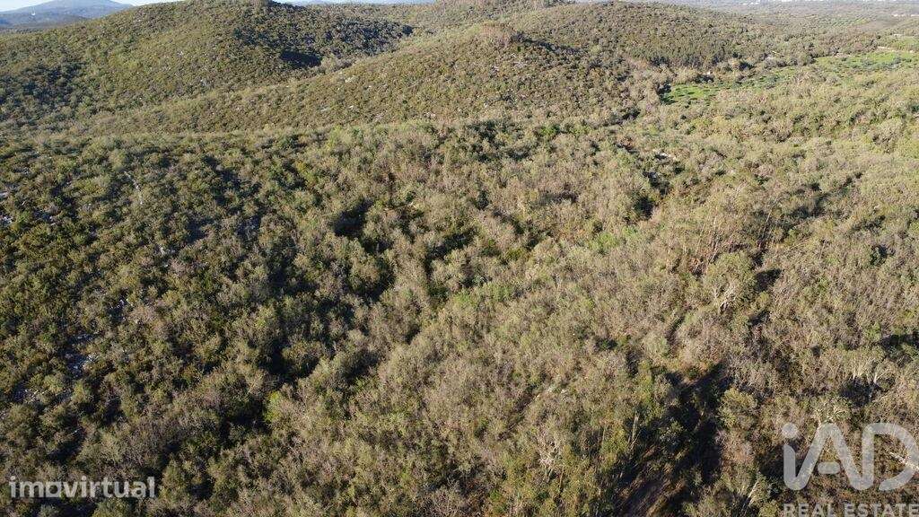 Terreno em Chãos - Grande imagem: 5/18