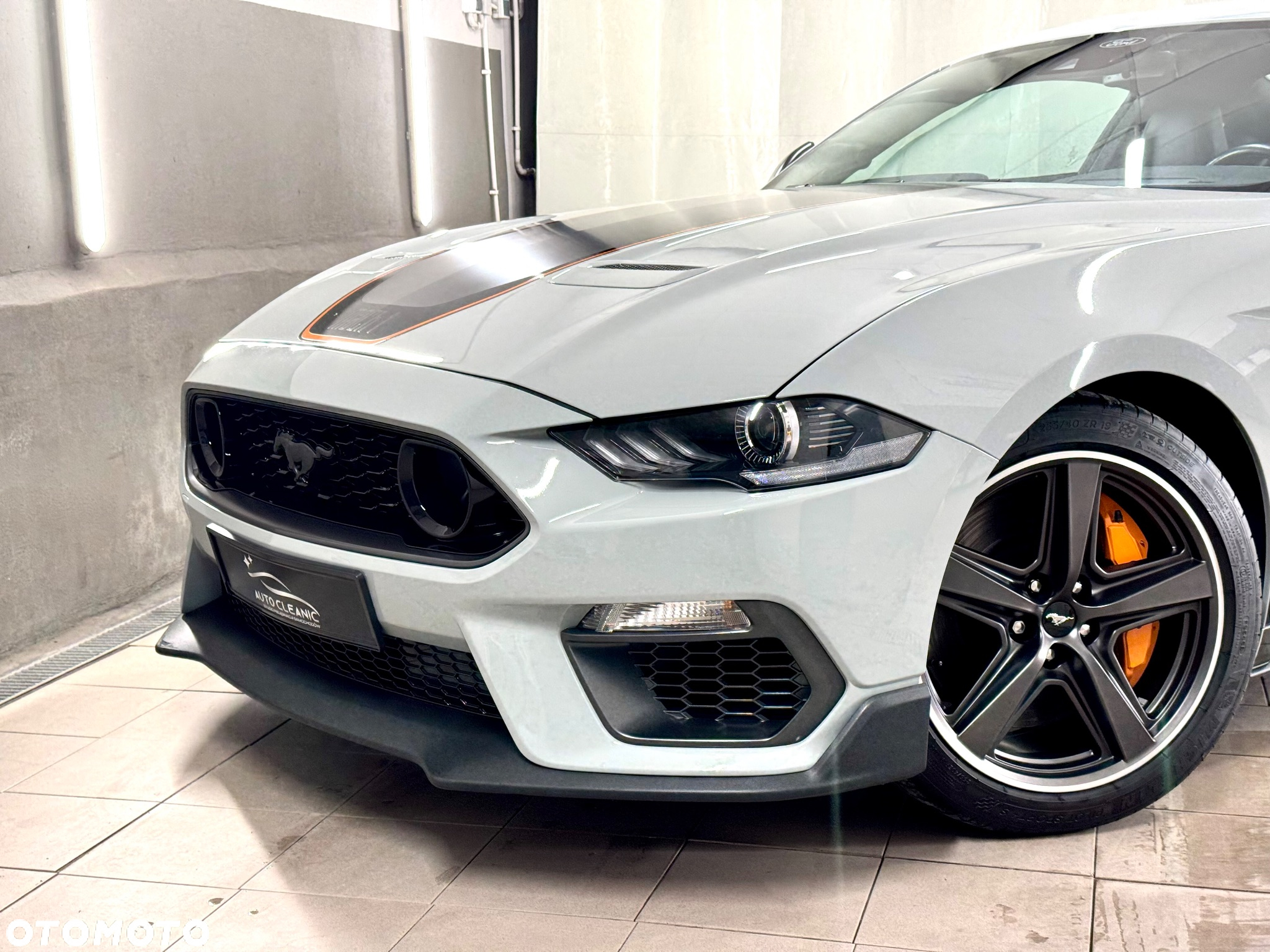 Ford Mustang 5.0 V8 Mach 1 - 29