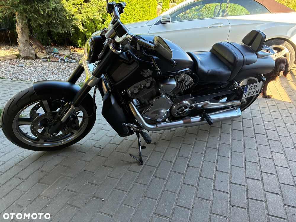 Harley-Davidson V-Rod Muscle - 4