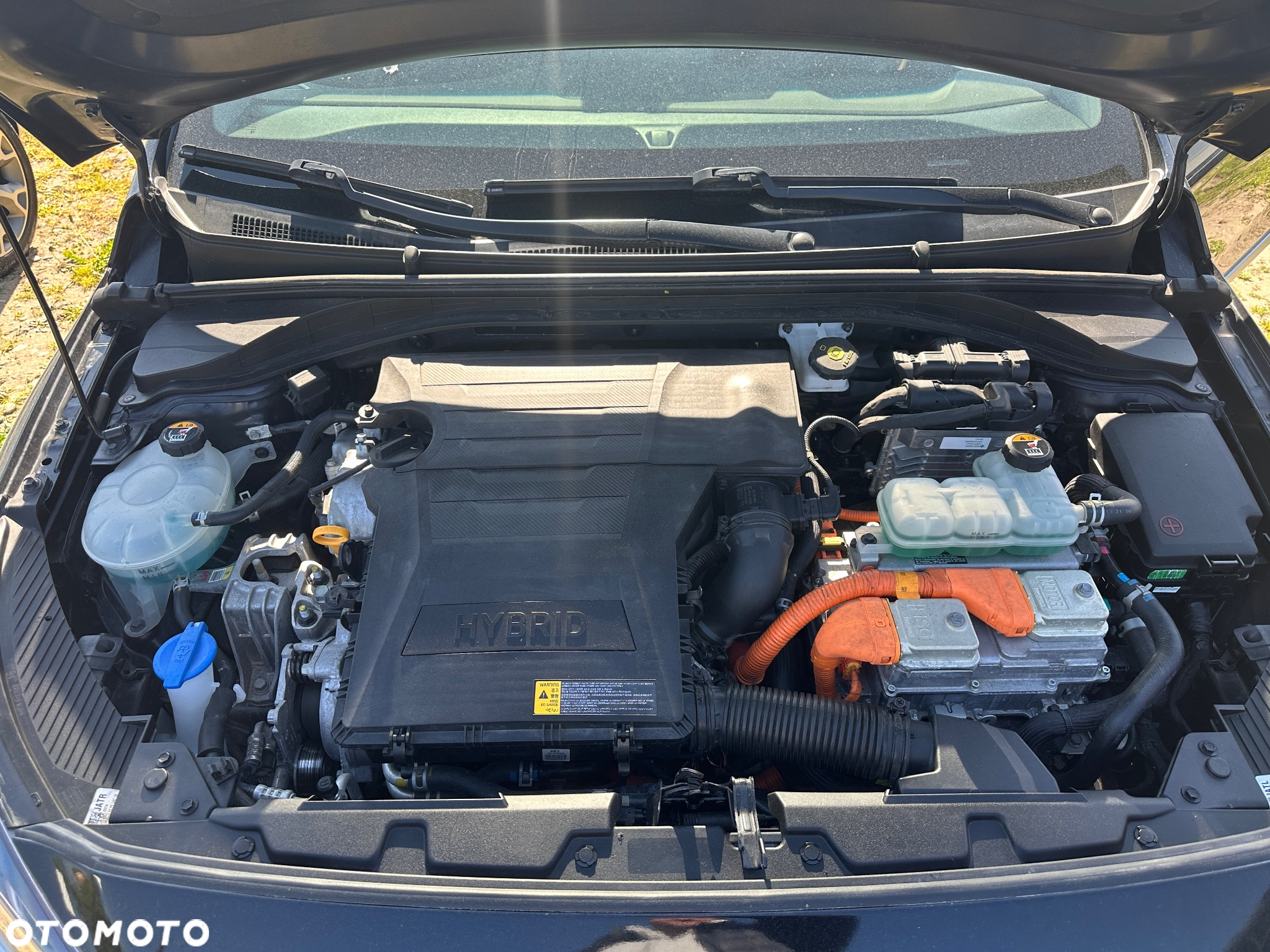 Hyundai IONIQ Hybrid 1.6 GDI Trend - 4