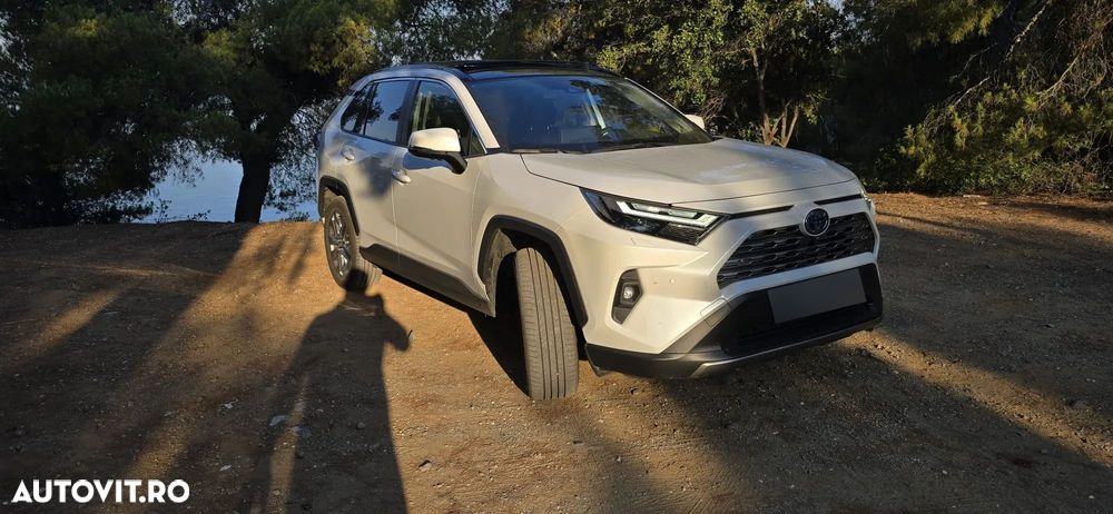 Toyota RAV4 2.5 Hybrid VVT-iE 4x4 Luxury Premium - 20