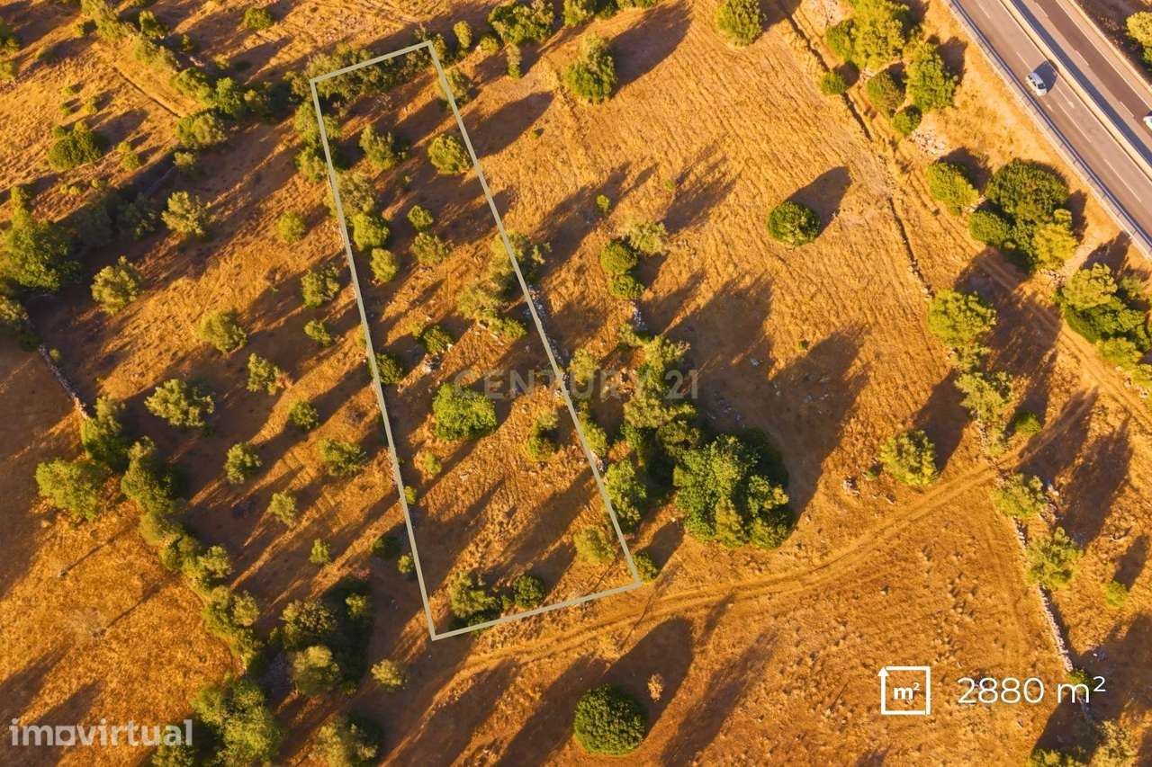 ✅ Terreno Rústico com 2.880 m² – Independência e Potencial de Expansão - Grande imagem: 5/8