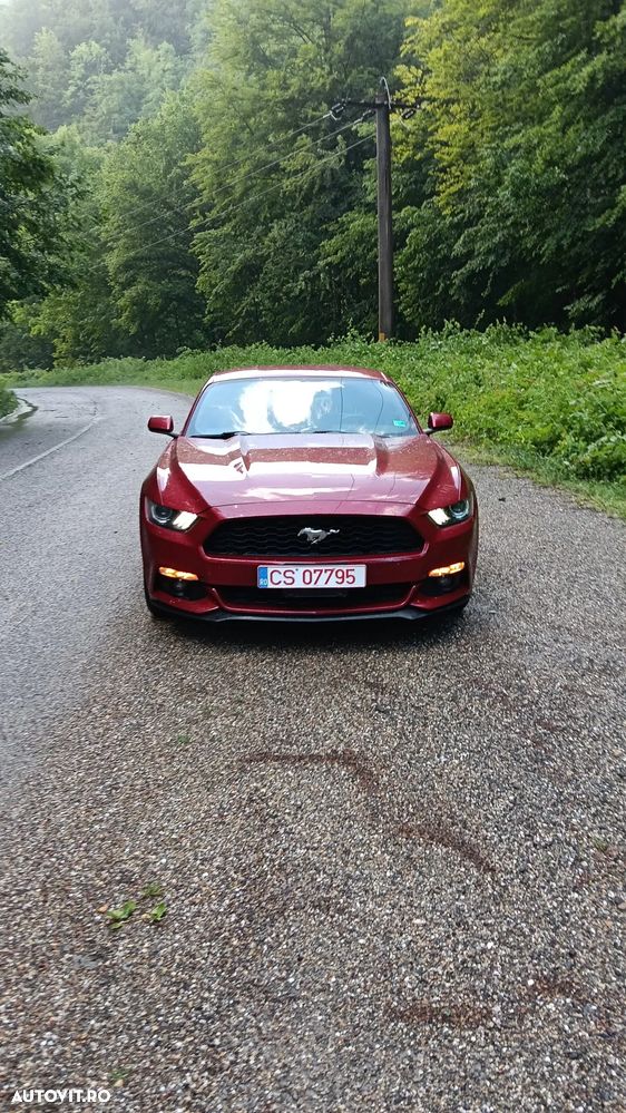 Ford Mustang 2.3 EcoBoost Aut. - 2