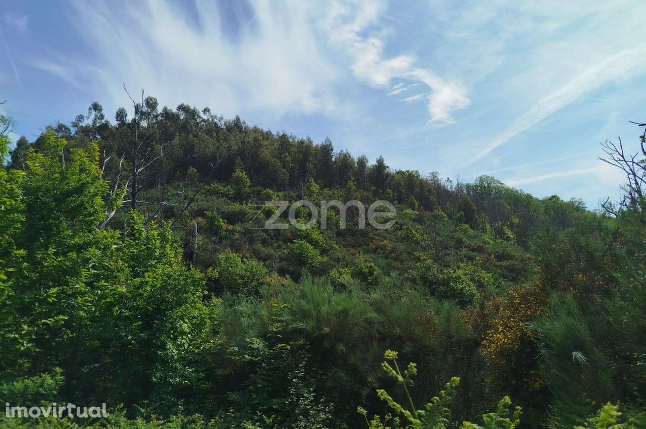 Terreno para venda na Serra da Estrela com ruína para reabilitar - Grande imagem: 2/29