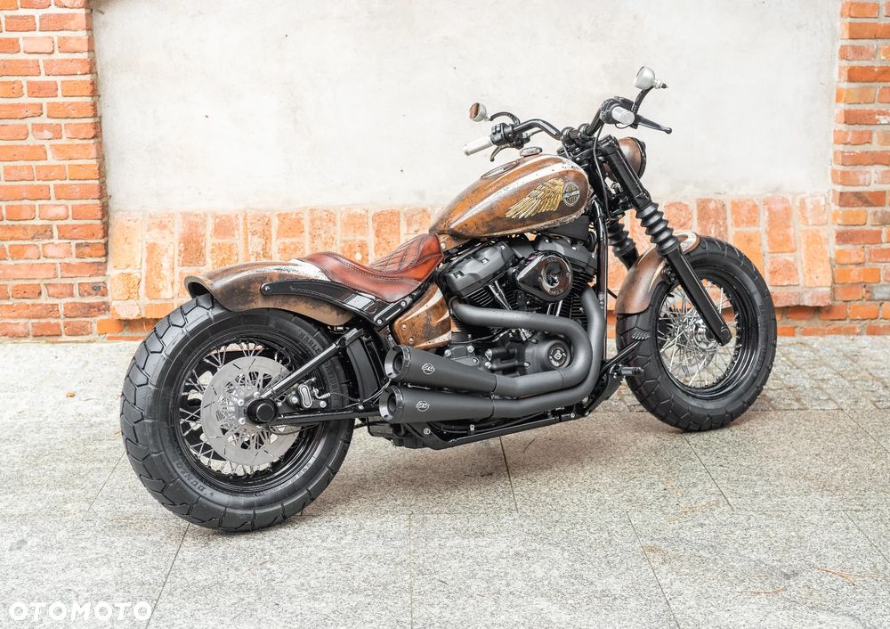 Harley-Davidson Softail - 13