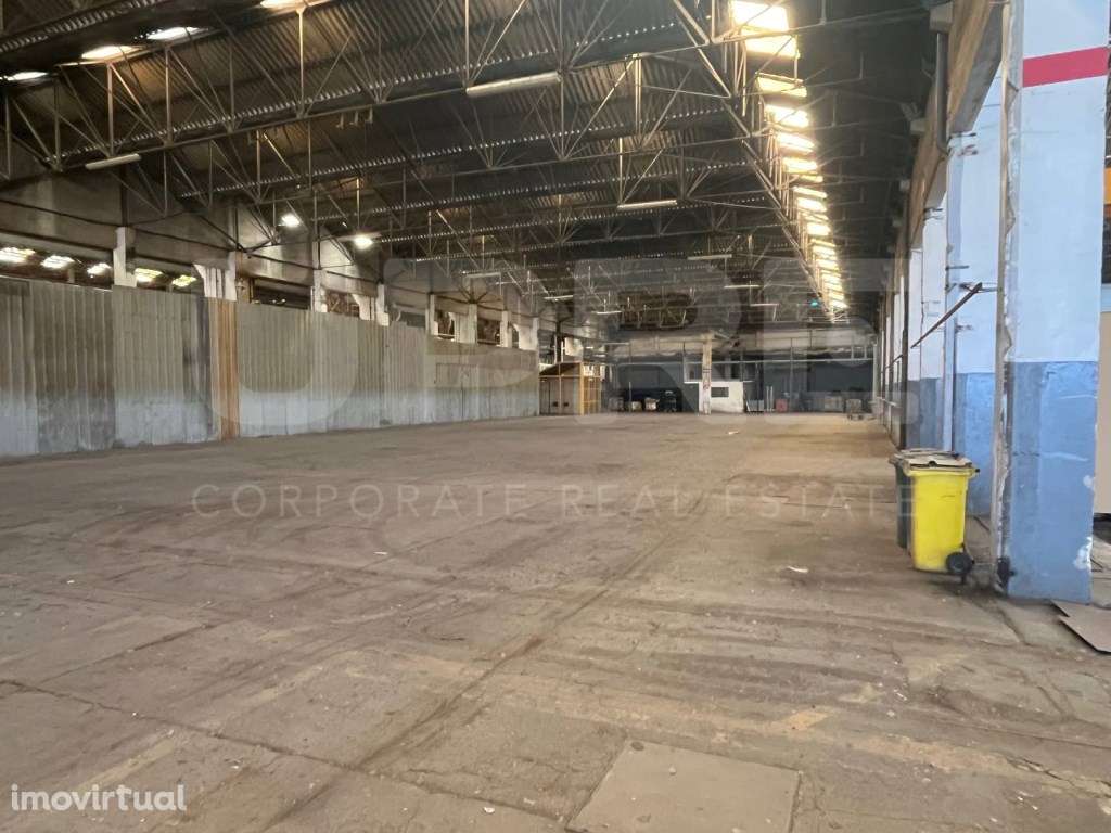 ARRENDA | Nave Industrial/Logística | VN Gaia - Grande imagem: 3/8