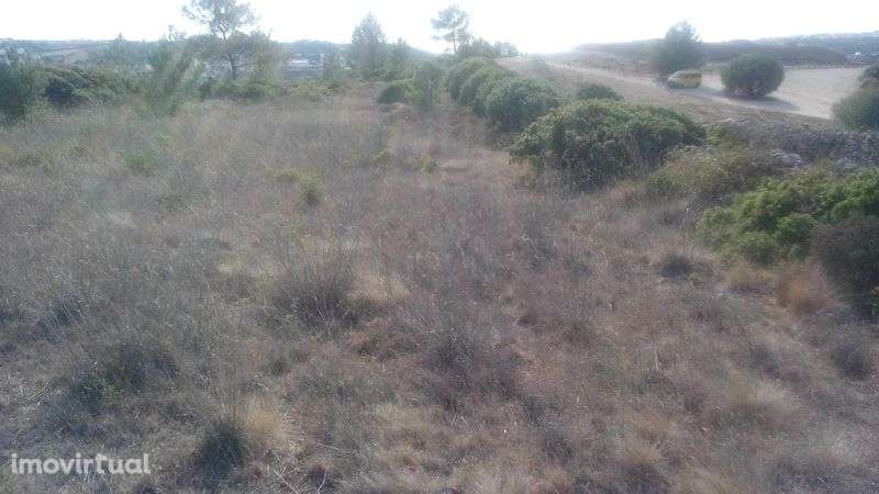 Terreno com 1125m2 Na Estrada do Vale Cancela Ericeira - Grande imagem: 3/6