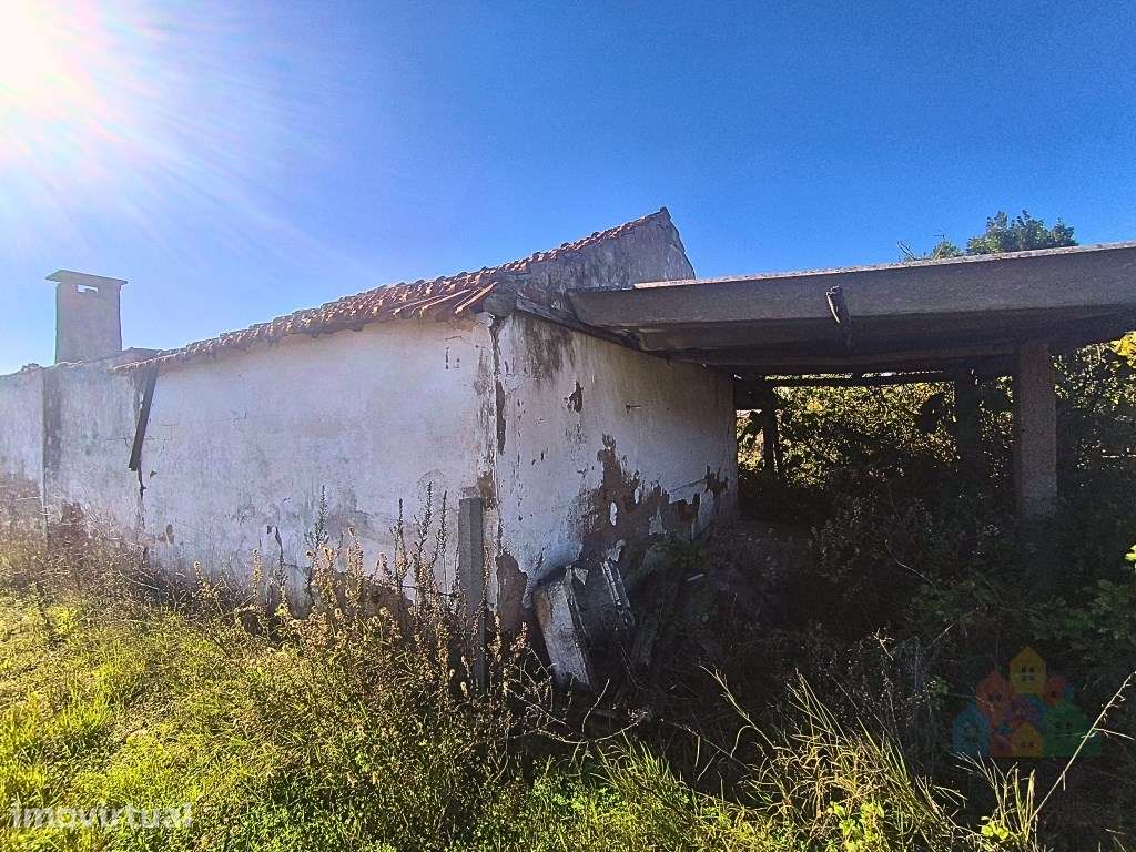 Moradia com terreno (3980 m2 com poço) no Entroncamento - Grande imagem: 5/14