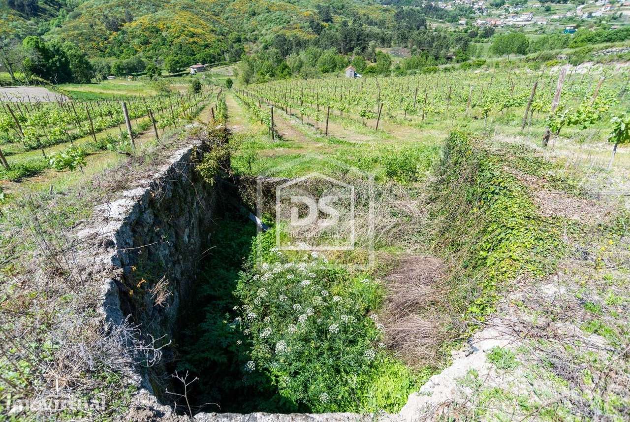 Herdade  Venda em Gove,Baião - Grande imagem: 3/11