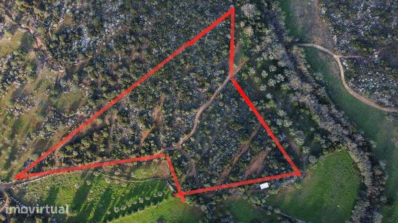 Terreno Rustico Algarve 19500m2 - Grande imagem: 3/11