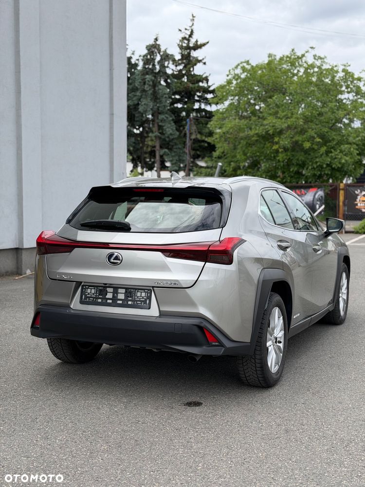Lexus UX 250h GPF Prestige 2WD - 6