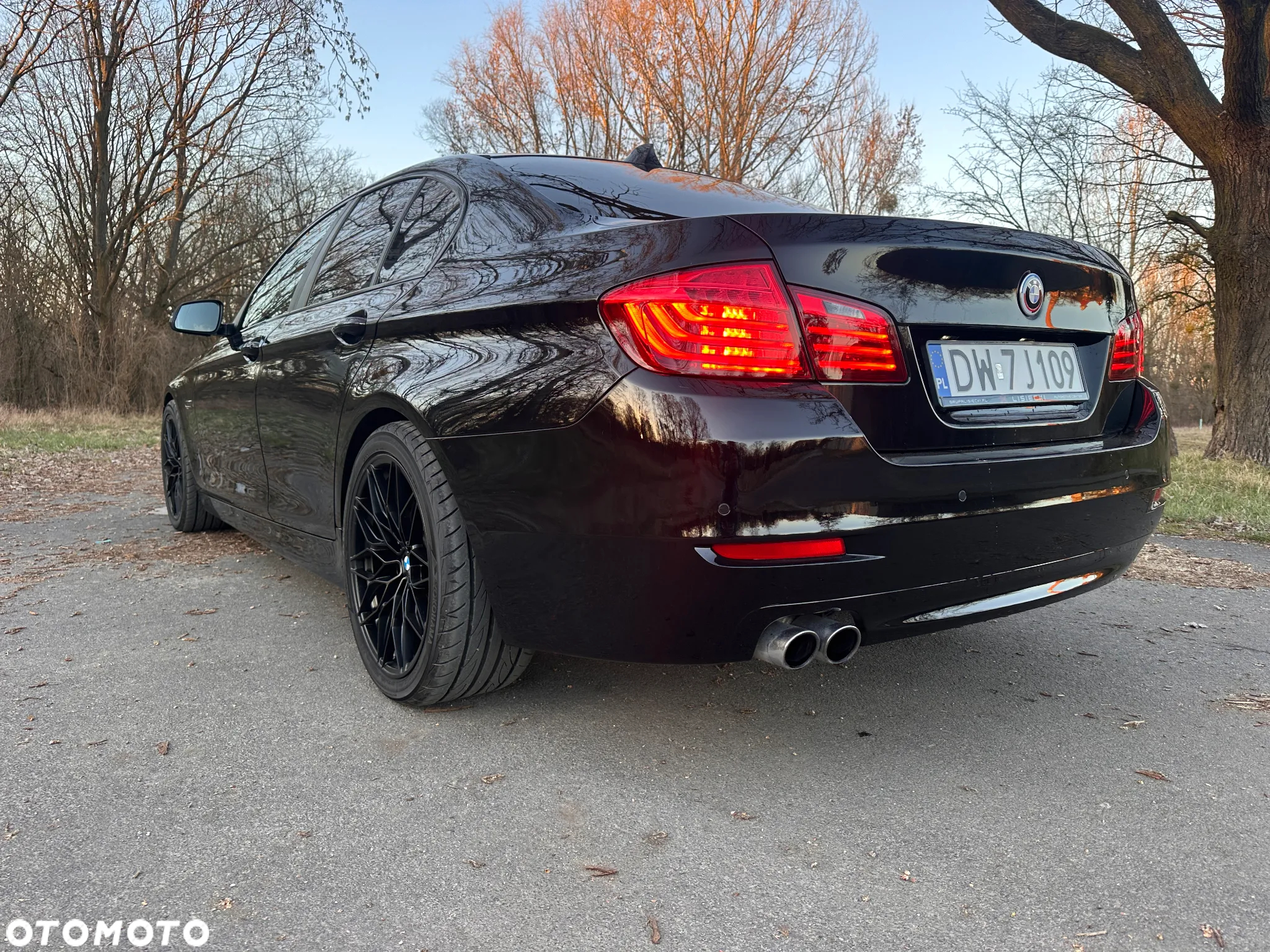 BMW Seria 5 518d Luxury Line - 15