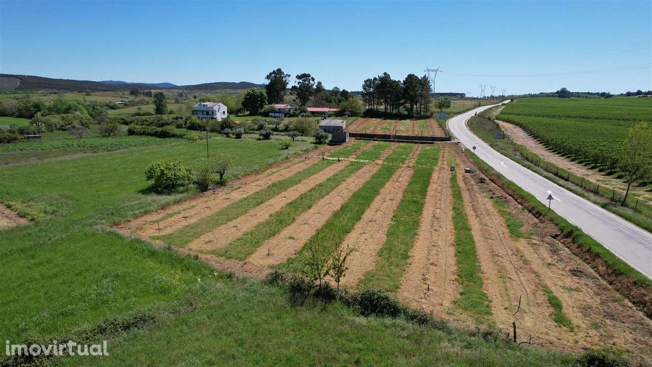 Terreno - Grande imagem: 3/5