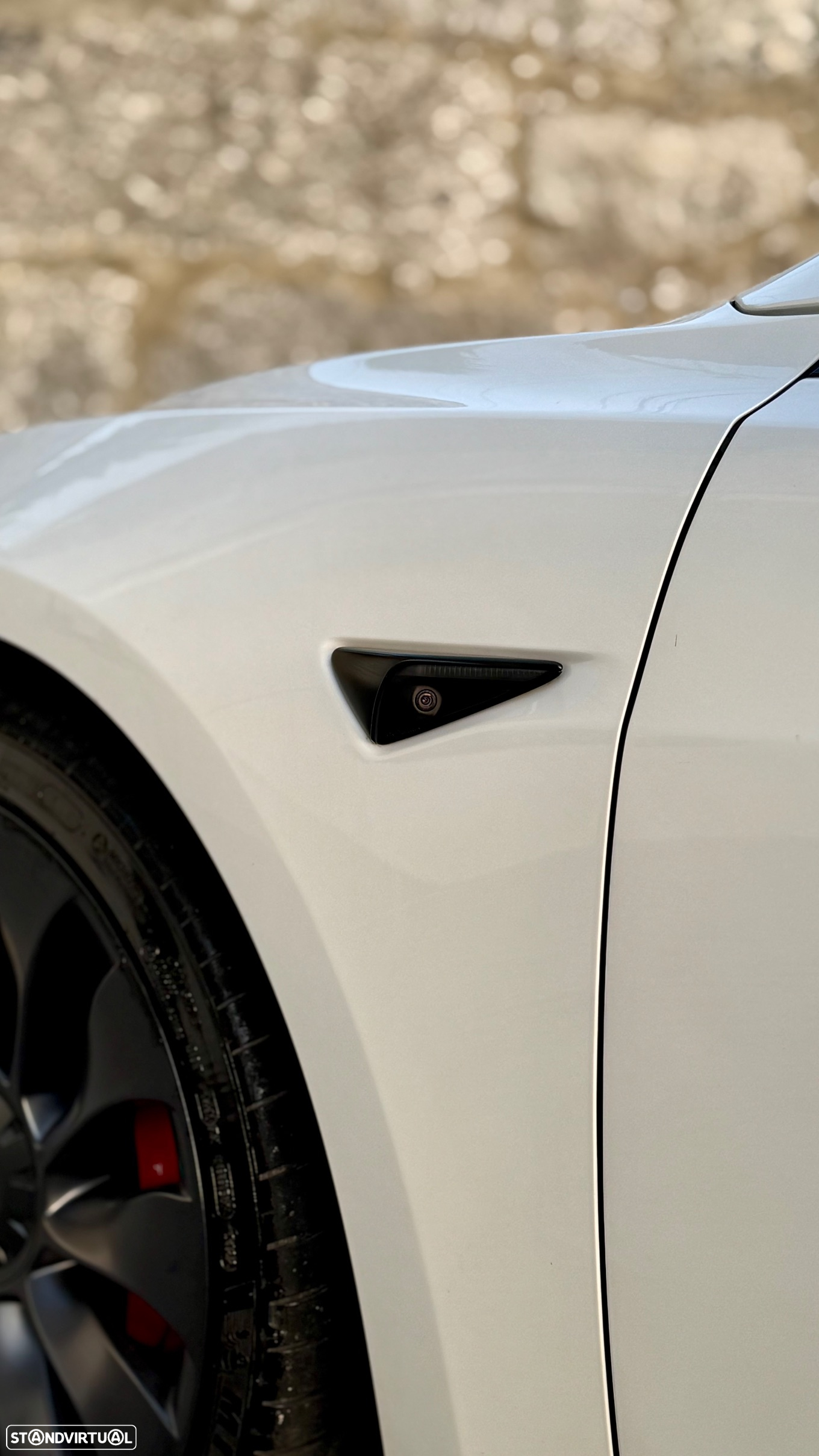 Tesla Model 3 Performance Dual Motor AWD - 18