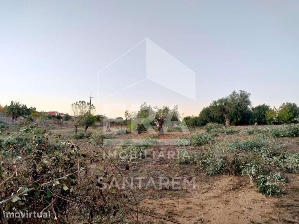Terreno 4.400m2 e com possibilidade de construção - Grande imagem: 2/7