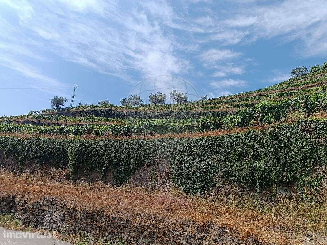 Terreno  para venda - Grande imagem: 2/20