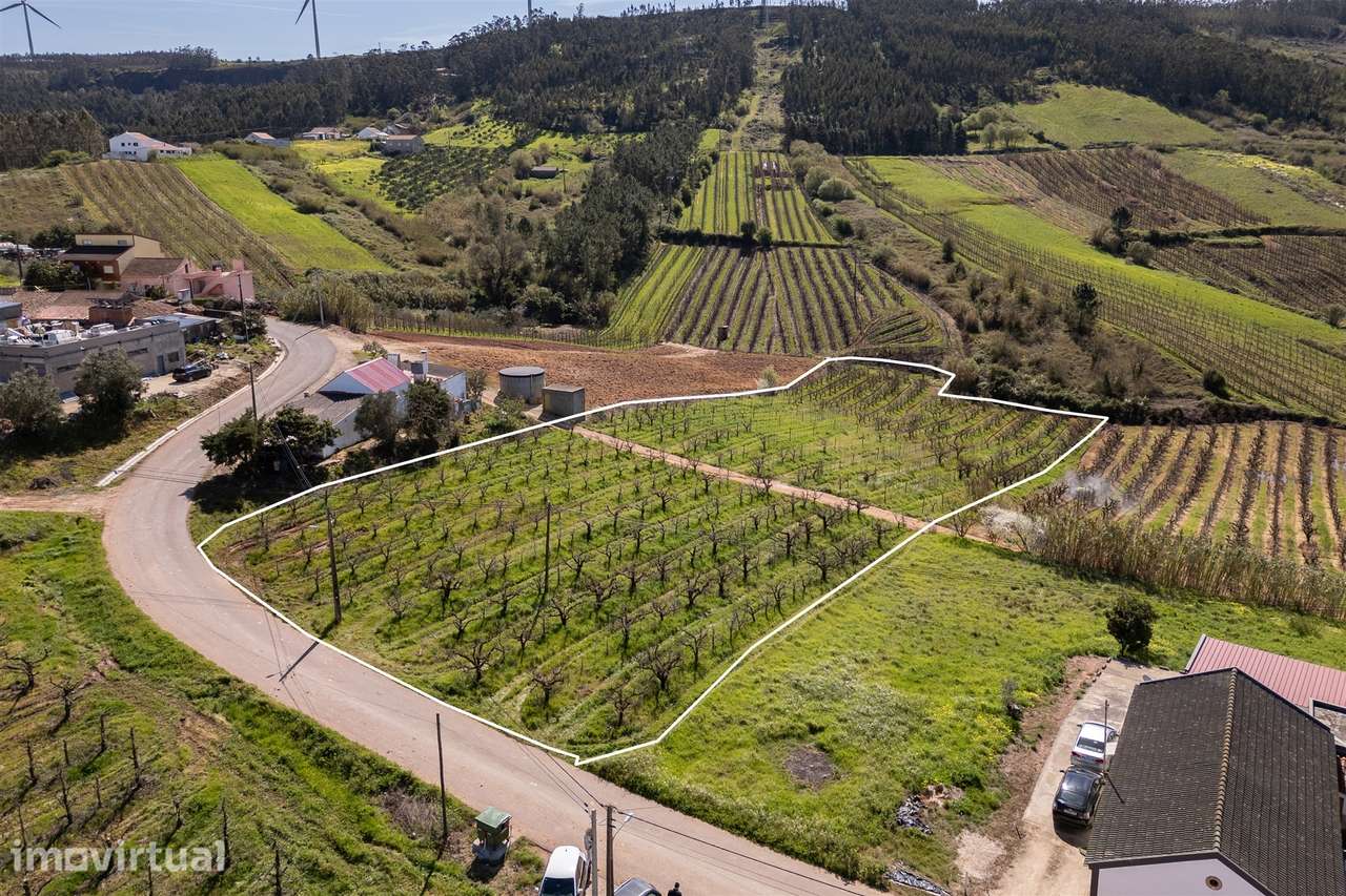 Terreno 7440m2  potencialmente Urbanizável Distrito de Lisboa - Grande imagem: 3/7
