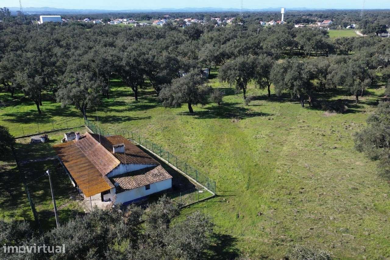 Quinta com 12,55 hectares e elevado potencial construtivo | Foros do L - Grande imagem: 4/27