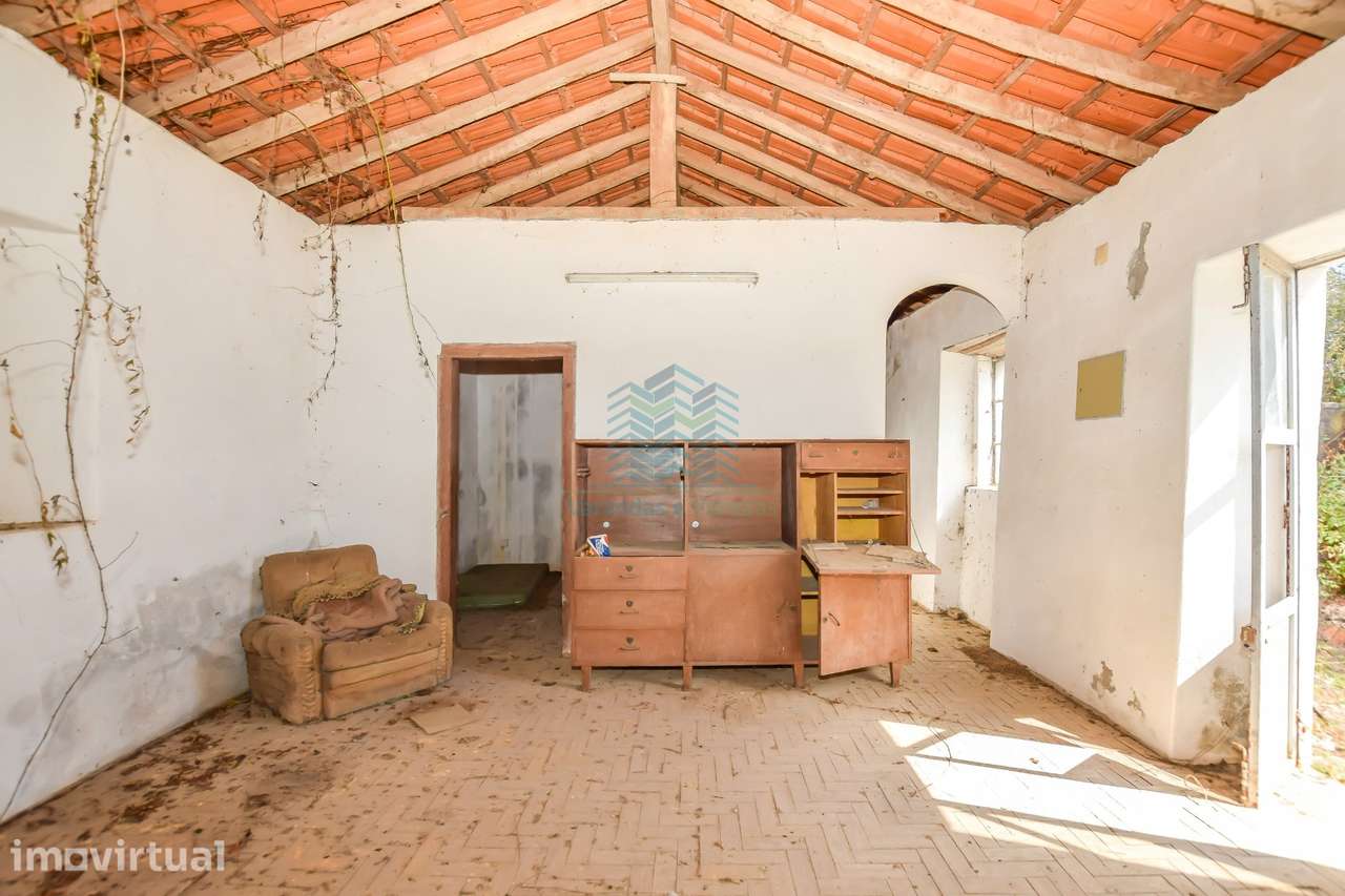 Quinta para remodelar - Torres Novas - Grande imagem: 5/28