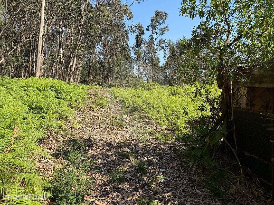 Terreno  para venda - Grande imagem: 5/12