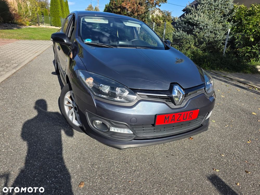 Renault Megane - 39