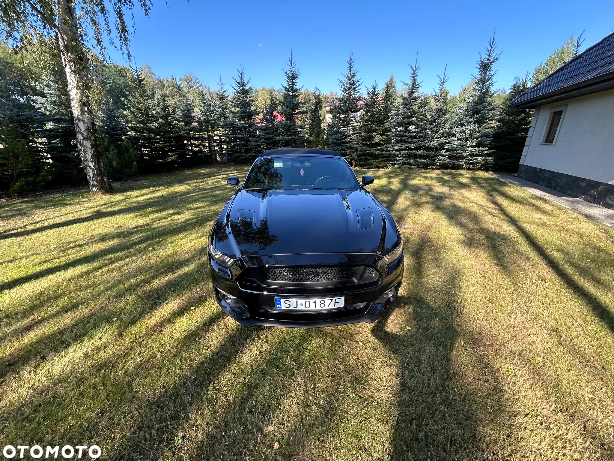 Ford Mustang - 11