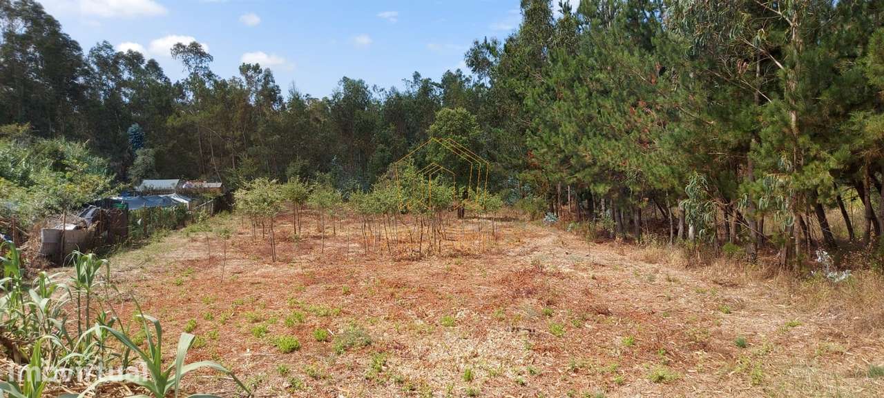 Terreno  - Quintais de Asseiçó, Paião - Grande imagem: 2/7
